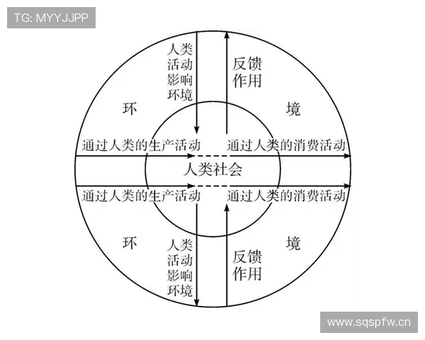 卡马文加：从奇兵到稳定轮换的角色演变分析